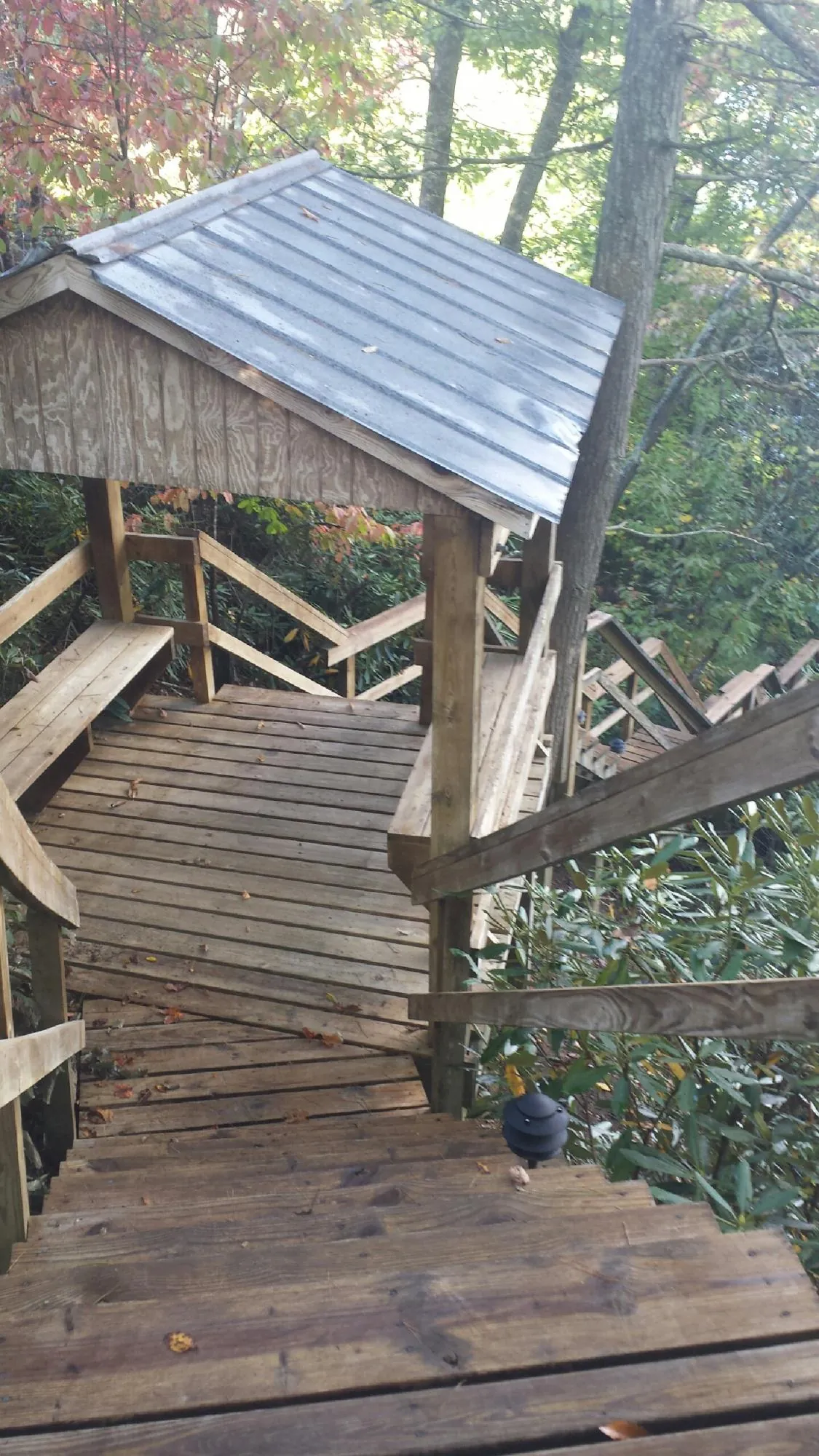 Metal roofed shelter over wooden steps on a wooded walkway — Skylight Repair & Installation work by our crew in Dry Ridge